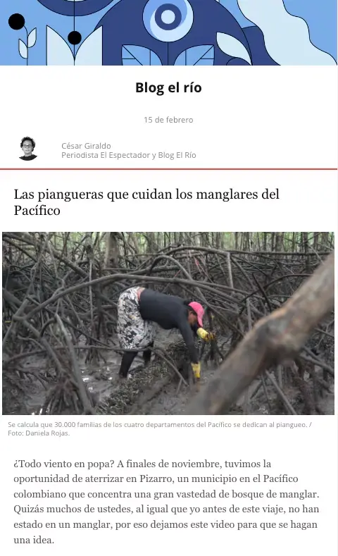 Newsletter Blog del río