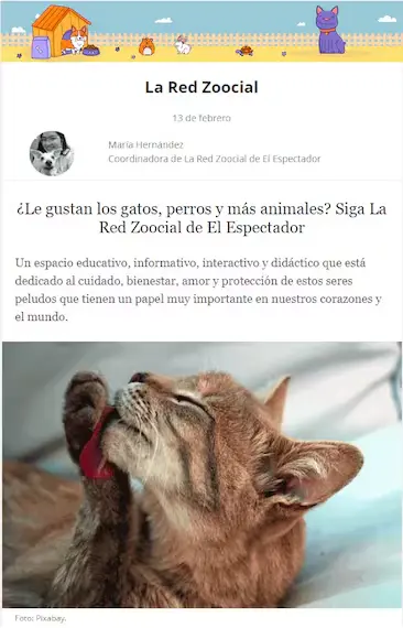 Newsletter La red zoocial
