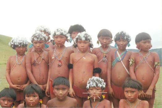 la carta se dice que a los grupos de riesgo estándar de la COVID-19 –las personas mayores y las que tienen comorbilidades– habría que añadir en Brasil a los pueblos indígenas. / Wikimedia Commons