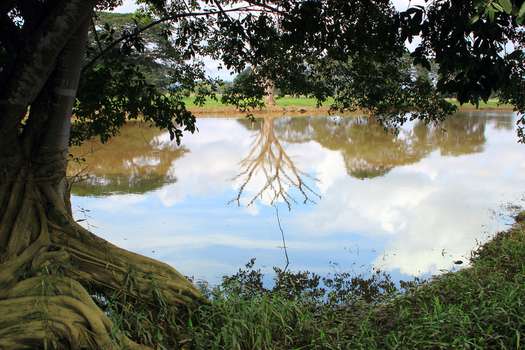 Humedal Paticos, cuenca baja del río Claro Cocorná Sur (Antioquia). Es un sitio Ramsar.