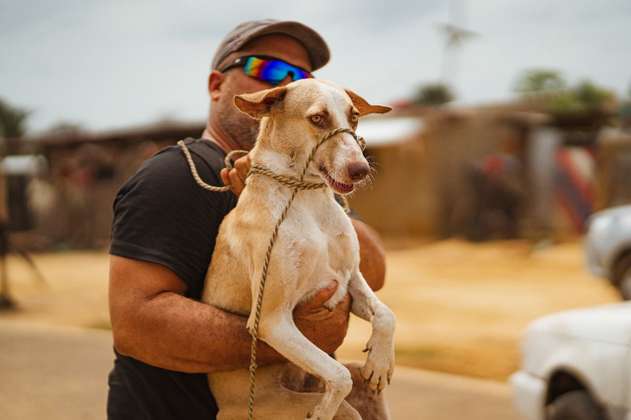“La indiferencia es lo que mata a los animales en La Guajira”: Proyecto Tawala