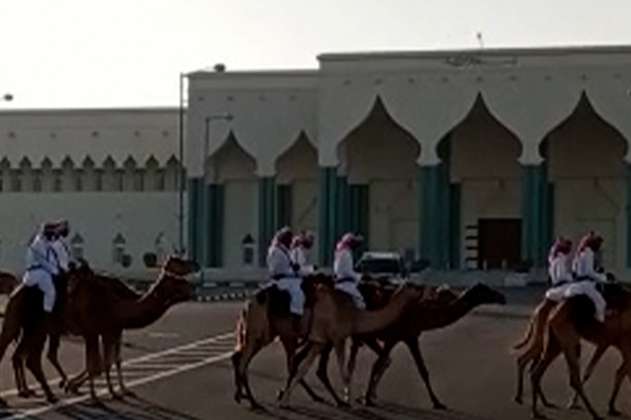 “Es todo un “camello”; así es el cambio de guardia en palacios de Catar