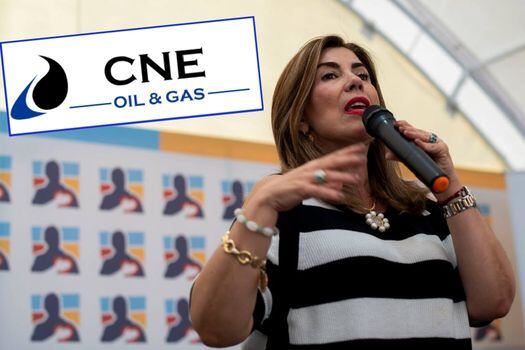La controversia se desató de un audio en el que la directora del Centro Democrático, Nubia Stella Martínez, habla del supuesto aporte de 300.000 dólares a la campaña. CNE Oil & Gas S.A. donó al partido $700 millones.