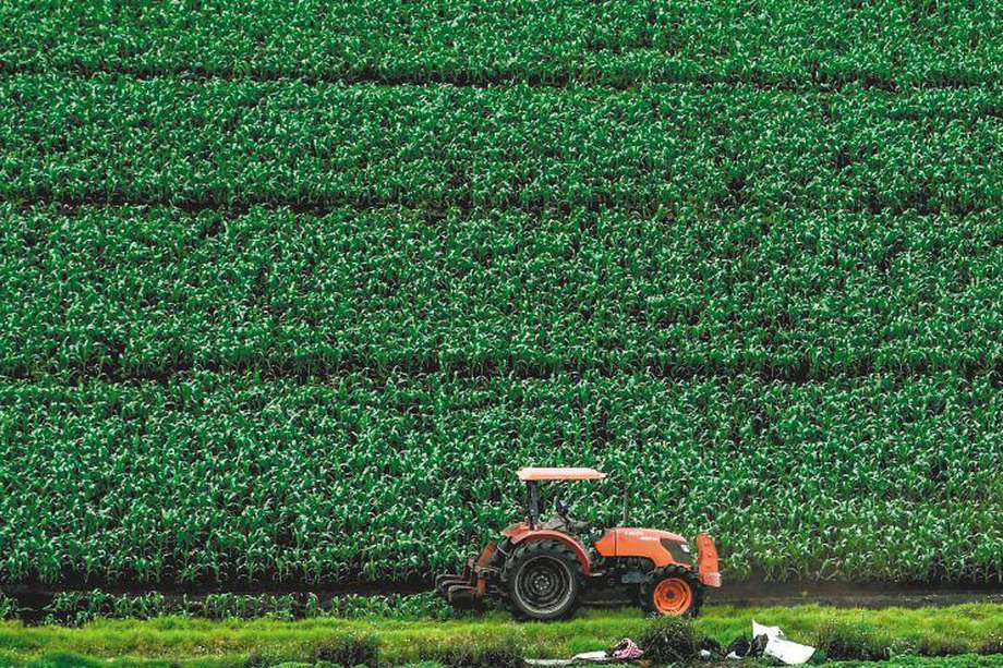 En Colombia, apenas se dedica el 9 % del suelo a actividades agrícolas.  / AFP