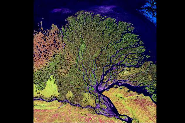 Así es como los humanos hemos afectado los deltas de los ríos del mundo