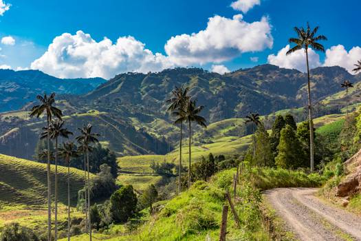 6 destinos de altura imperdibles en Colombia para visitar- Paisajes 2