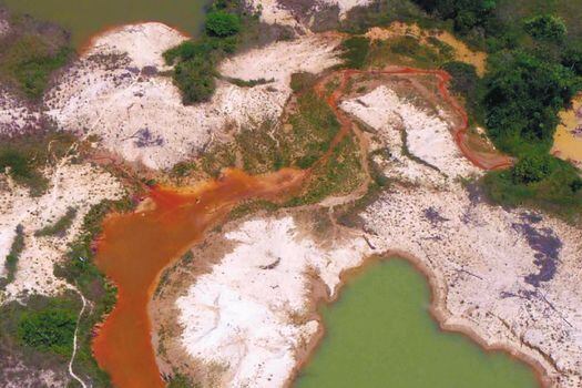 Los Miraña son reconocidos por responder al nombre de "gente del agua". No obstante, los peces que sacan del río Caquetá están contaminados con mercurio. 