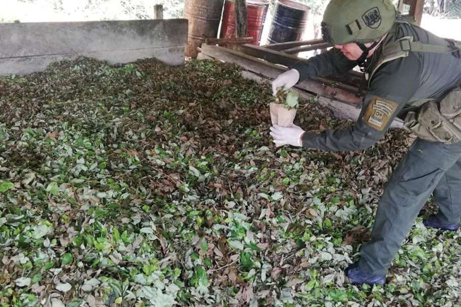 Las operaciones de la Fiscalía y las Fuerzas Militares han desmantelado laboratorios que producían cocaína en Antioquia, Bolívar, Cauca, Córdoba, Nariño, Norte de Santander, Sucre y Cundinamarca. / Fuerzas Militares