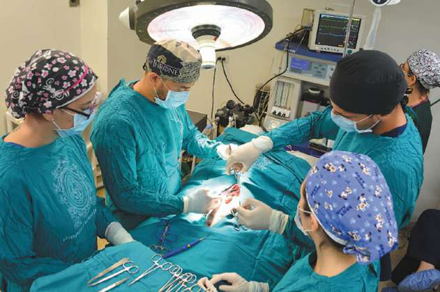 Cirugías complejas que salvan la vida de los animales
