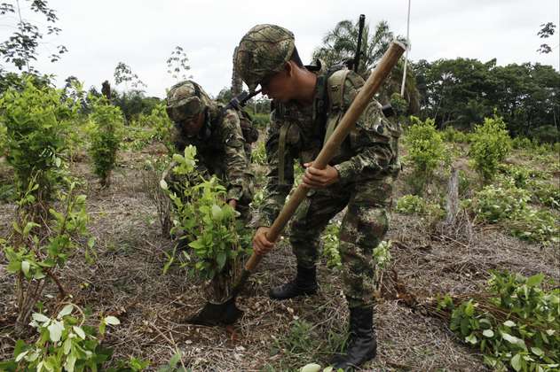 EEUU solicita a Colombia reducir cultivos de coca y producción de cocaína