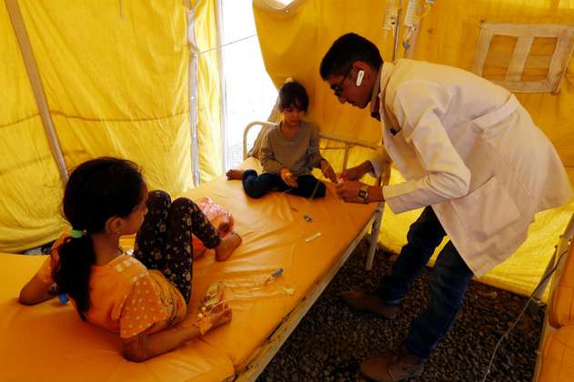 Nueva vacuna contra el cólera proporciona protección a animales en 24 horas 