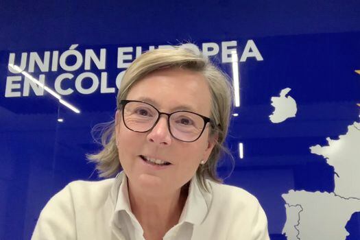 Patricia Llombart, embajadora de la Unión Europea en Colombia.