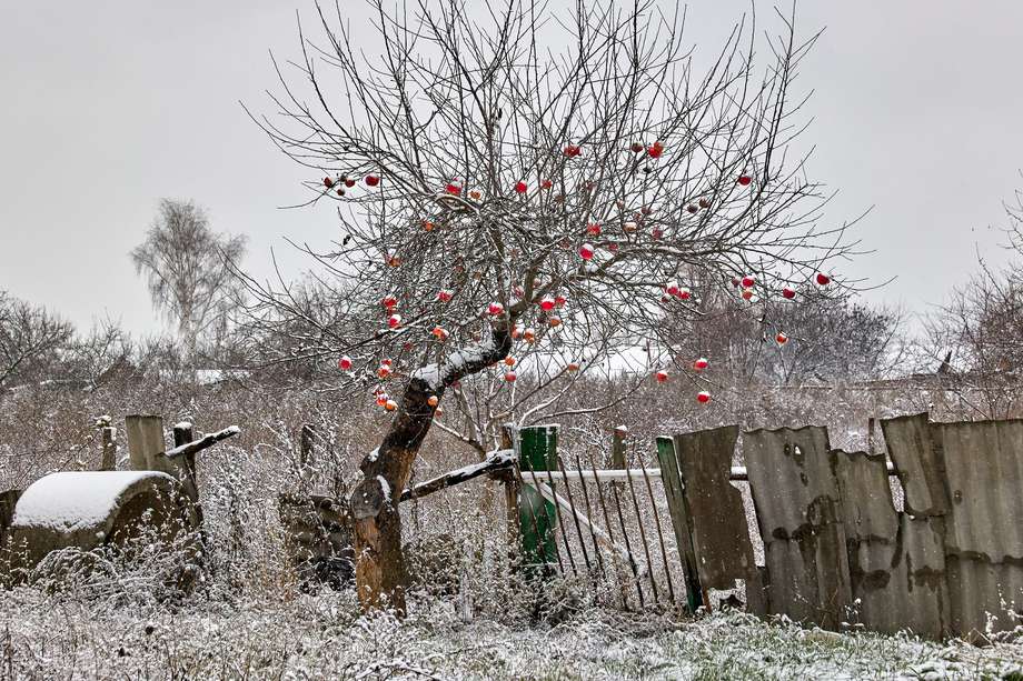 El invierno es un factor que puede reconfigurar la guerra de Ucrania en las próximas semanas.  