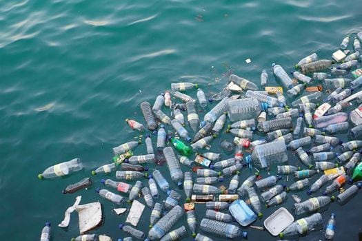 Cada año los humanos arrojan al océano 8 millones de toneladas de plástico.