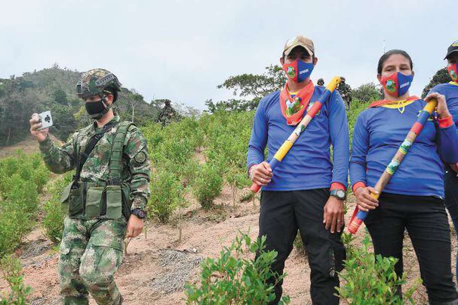 La guardia campesina custodia los límites entre los militares y los campesinos de la zona, en medio de un cultivo de coca, en Islitas y Monte Tarra.  / Fotos: Óscar Pérez