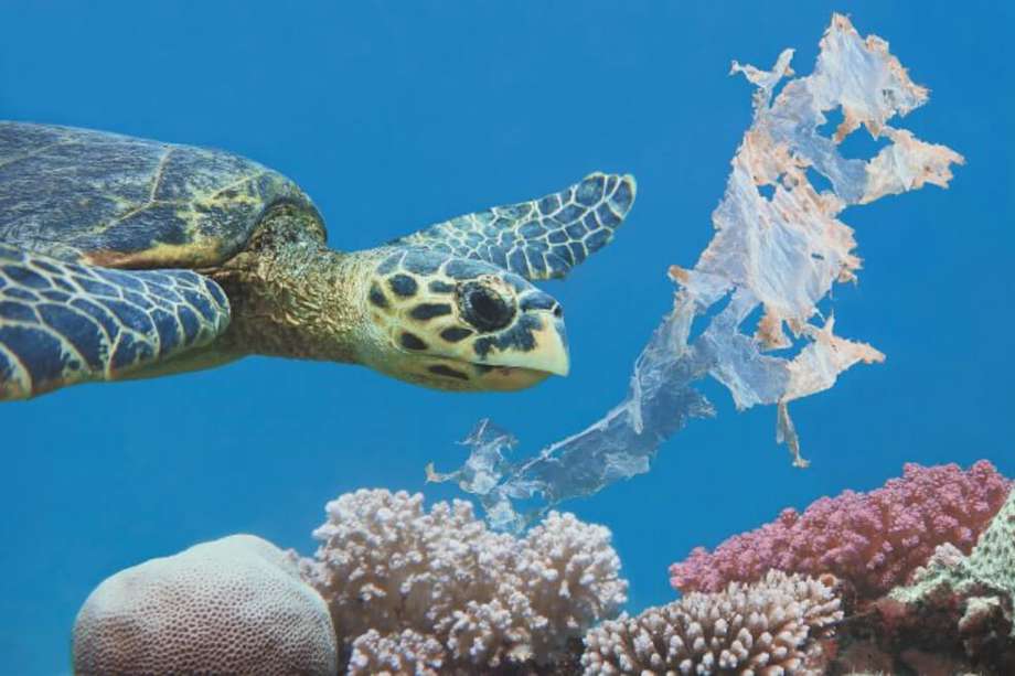 WWF advierte que la producción mundial de desechos de plástico podría aumentar en un 41% hasta 2030.