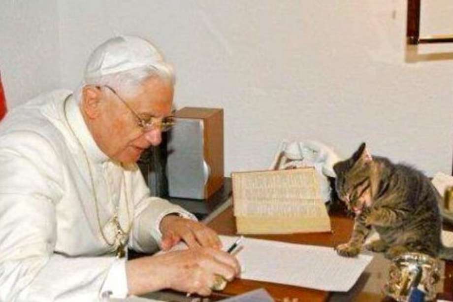 Algunos obispos que colaboraban con el Papa emérito aseguraban que podía hablar con los felinos.