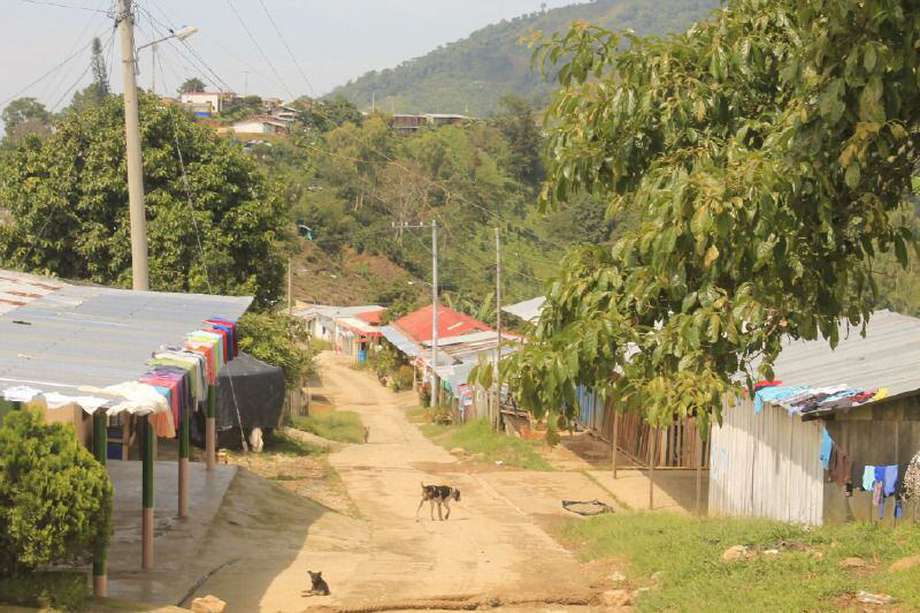 La violencia se ha exacerbado en Santa Marta, Ciénaga y la Zona Bananera (Magdalena). / PDHAL