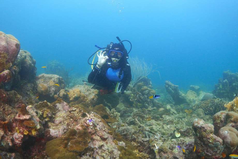 Elvira Alvarado, de 65 años, ha dedicado su vida a estudiar a los corales, indispensables para la vida marina.