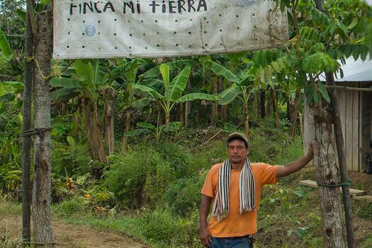 Denuncian asesinato de líder reclamante de tierras en Chocó
