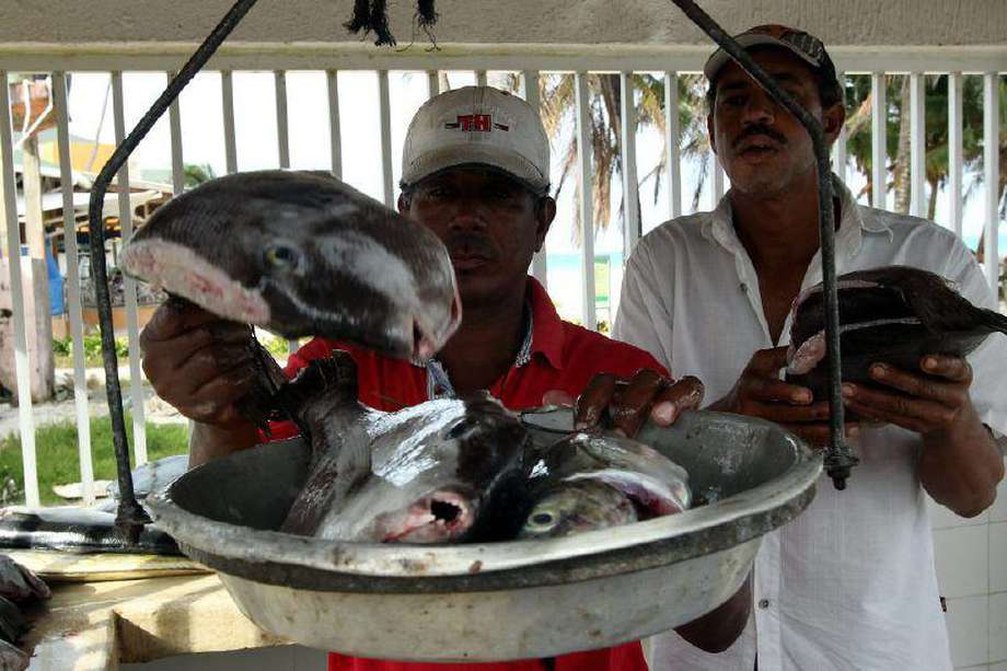(Imagen de referencia) Los pescadores serán beneficiarios de un proyecto piloto en la región.
