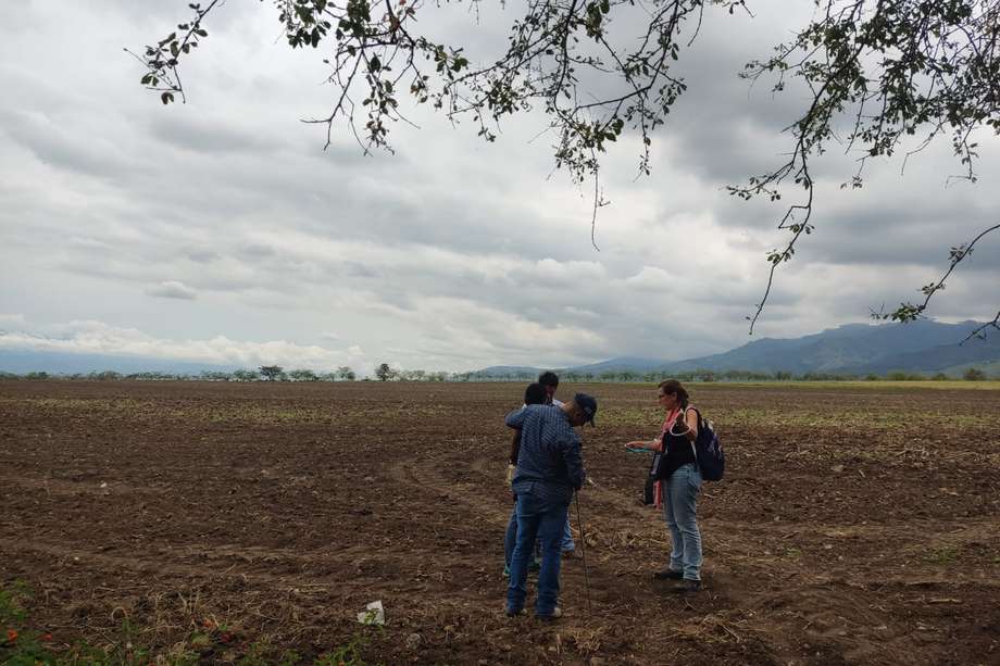 Un grupo de investigadores toma medidas de hidrógeno en campo durante su estudio en el Valle del Cauca.