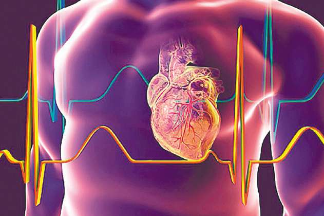 Enfermedades cardiovasculares: ¿qué son y cómo tratarlas?