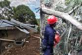 Familias en Caparrapí damnificadas por fuerte vendaval: 15 viviendas destruidas