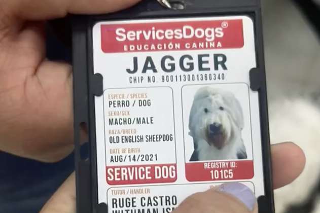 (Video) Rechazan la entrada de un perro de ayuda médica a un supermercado en Cali
