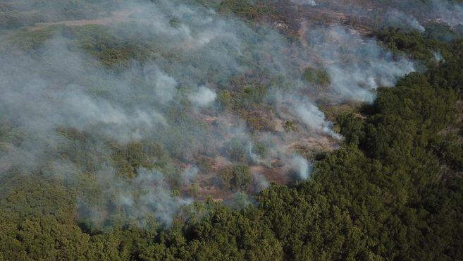 Las llamas han afectado la cobertura vegetal de pasto conocida como enea, la matandrea y vegetación seca como hojarasca y ramas de árboles, lo que ocasiona grandes columnas de humo. 