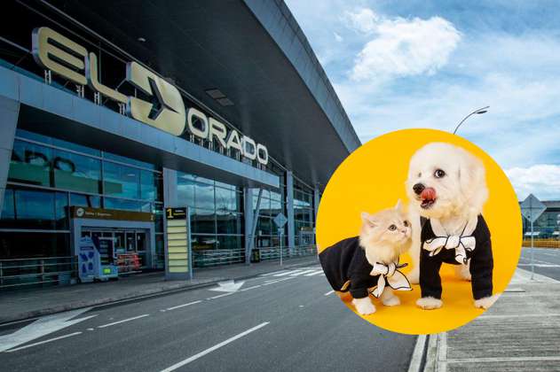 Guía para usar los baños para mascotas del Aeropuerto El Dorado, ¿los conocías?