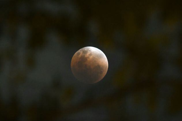 En vivo: NASA transmite el eclipse total de superluna azul