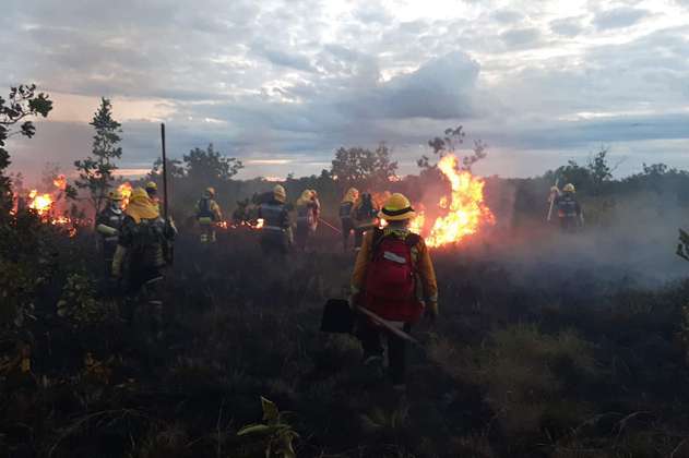 Se reactivan incendios en el Parque Nacional El Tuparro, en Vichada