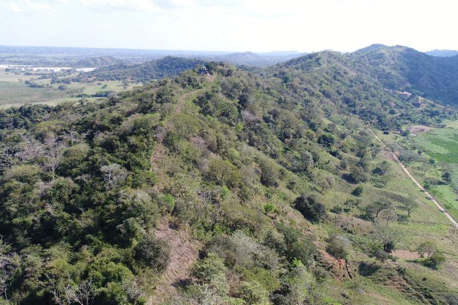 En Colombia contamos con 1.343 áreas protegidas, algunas son públicas y otras privadas.