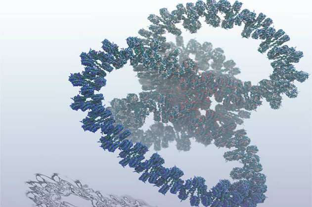 Crean la simulación más grande de un gen con mil millones de átomos
