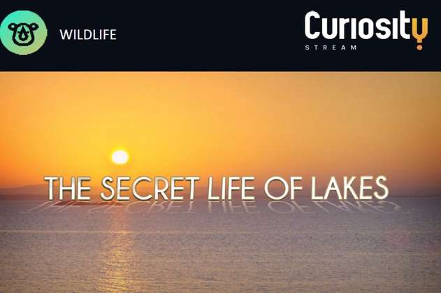 La vida secreta de los lagos
