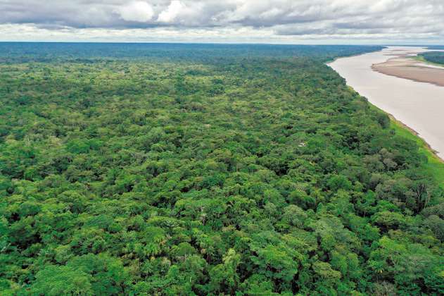 El festival Salva tu Selva se celebra con música y teatro en la Amazonía