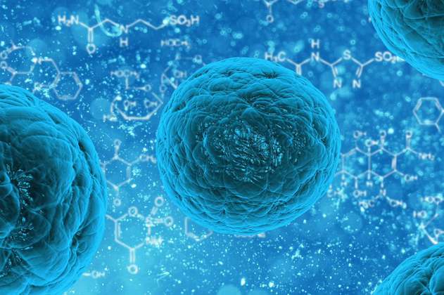 Por primera vez, científicos miden la velocidad de la muerte celular