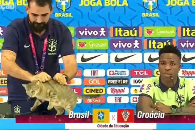 El gato que cambió la historia del fútbol brasilero: ¿maldición o coincidencia?