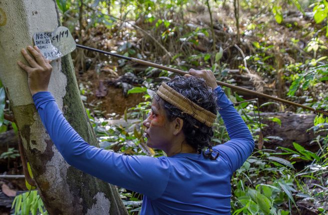 Futura líder Mura en un área con árboles marcados con nombres falsos. Los ilegales talan en las reservas los árboles grandes de maderas grandes, que no han sido marcados con placas. Para los Mura “se está cometiendo un crimen silencioso contra la Amazonía.