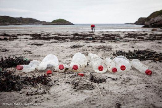Coca Cola se comprometió a que el 50 % del plástico en sus botellas será reciclado. /  Will Rose - Greenpeace