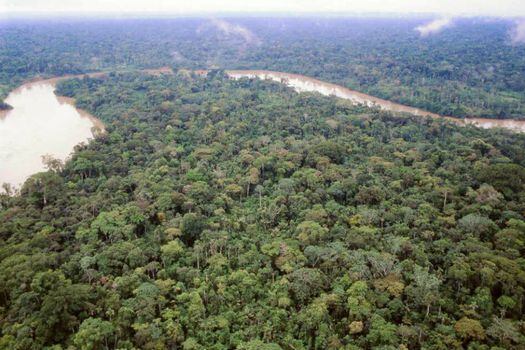 Las comunidades son las más afectados por las contradicciones del Plan Nacional de Desarrollo en la Amazonia
