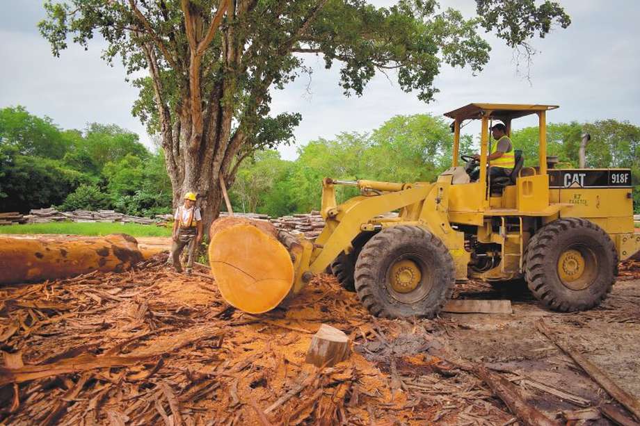Campesinos de Guatemala tienen la clave para frenar la deforestación en la Amazonia 