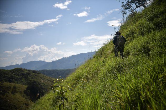 Defensoría alerta presencia de los Comandos de Frontera en Caquetá 