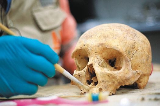 El cráneo será entregado a las autoridades indígenas.