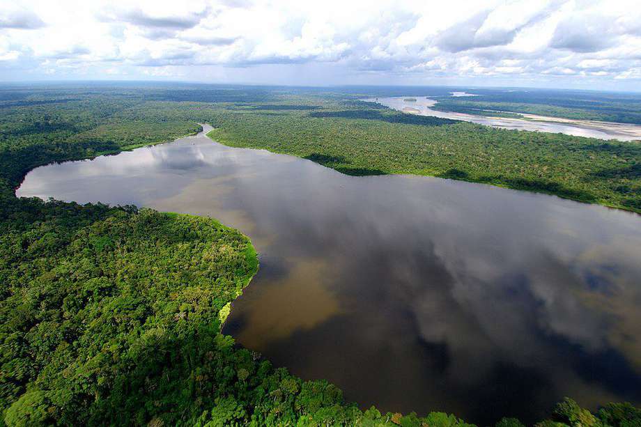 Imagen de la Amazonía ecuatoriana.