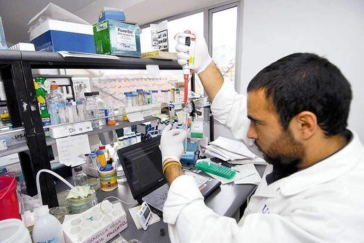 El Ministerio de Ciencia aprobó 25 proyectos de investigación.  / Luis Ángel - El Espectador