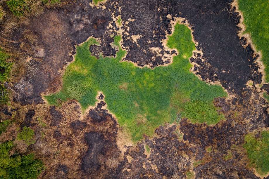 Fotografía aérea de la vegetación quemada tras un gran incendio en el Pantanal brasileño, el 19 de noviembre del 2023.