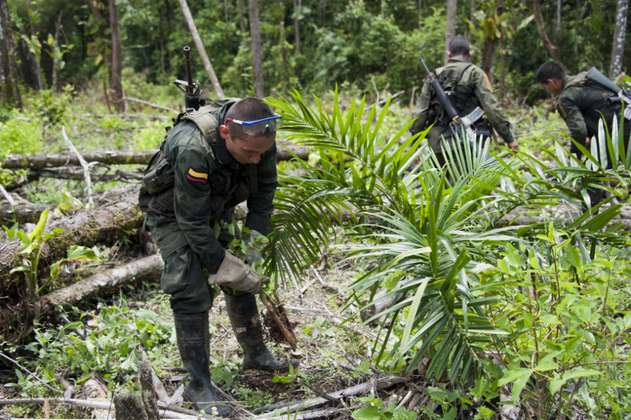 Policías que erradicaban cultivos de coca en Tumaco fueron retenidos por más de 24 horas 