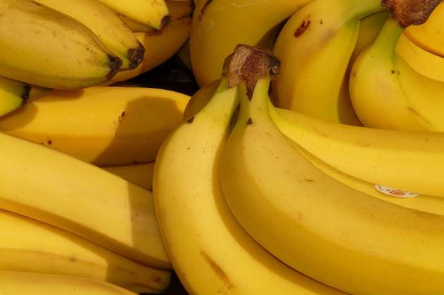 Instalan puestos de mando en Magdalena y Urabá ante sospecha de hongo en cultivos de banano